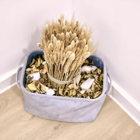 Inside * Furnas (Azores)