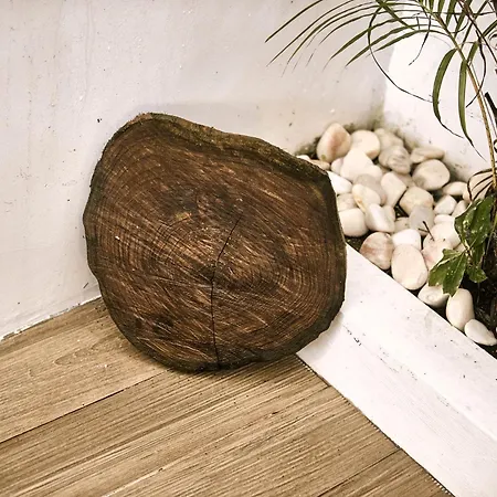 Inside Prázdninový dům *