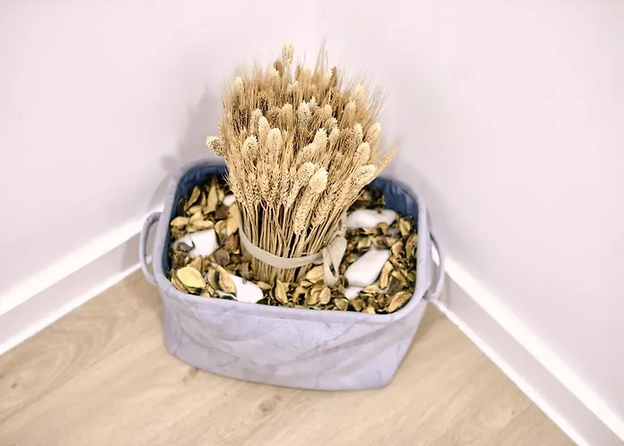 Inside * Furnas (Azores)