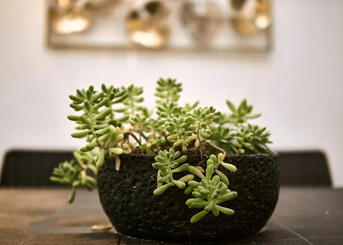 Inside Holiday home *